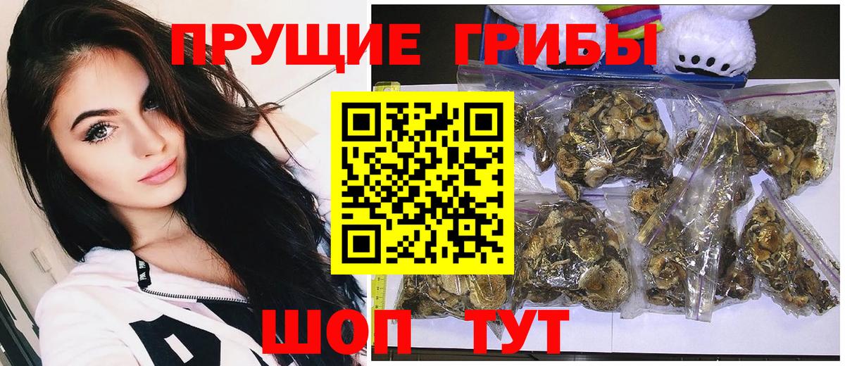 Псилоцибиновые грибы мицелий Кисловодск